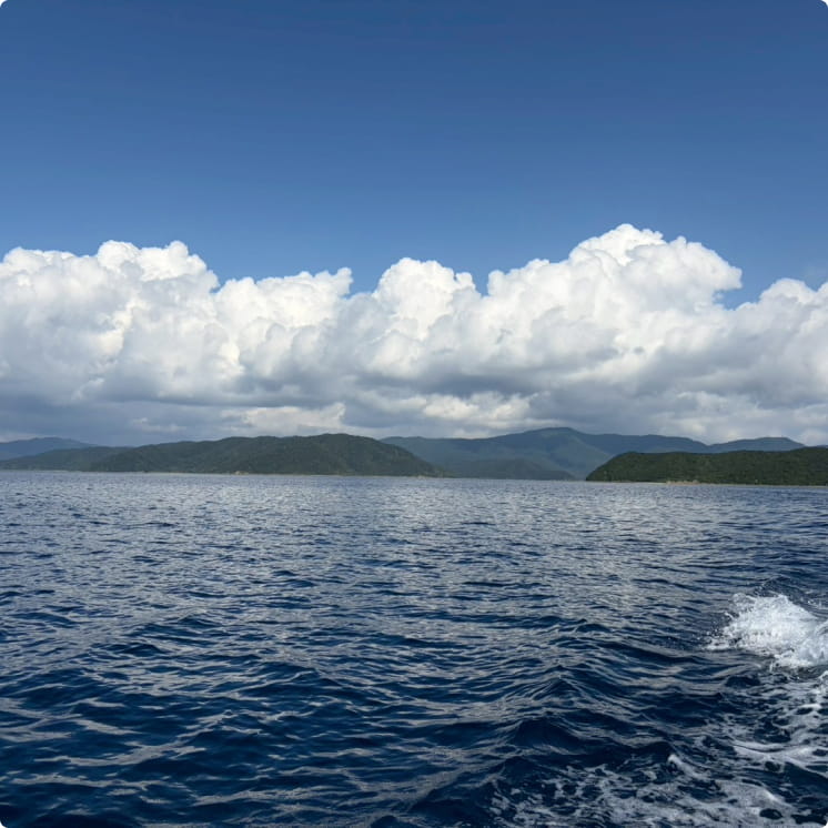 穏やかな海へ、旅のはじまり。