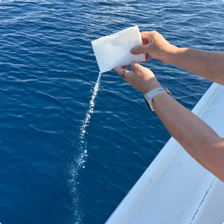 想いを託して、青へ還る。