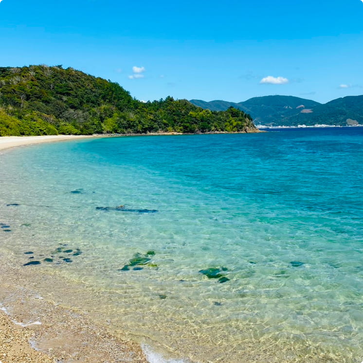 透きとおる浜辺、加計呂麻ブルー。