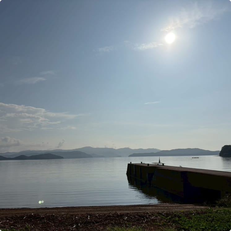 光を映す静かな入江。